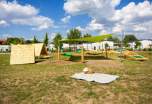 Növénymentő láda, piknik park – Cukiságok a városban