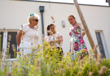 Kiderült, mivel pályázik Dunakeszi a Virágos Magyarország versenyre