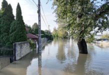 Még 20 cm a Duna tetőzéséig