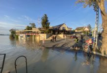 Rengetegen mennek ki megnézni az áradó Dunát