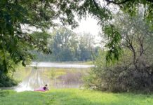 Elkapott pillanatok az áradó Duna mentén