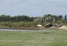 Arany élete van itthon a gólyáknak?