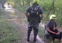 Óriásit küzdöttek az emberek és állatok kimenekítéséért Dunakeszin