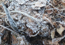 Fagyos napot kívánunk