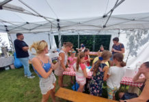 Feszt – Több mint koncertek sora