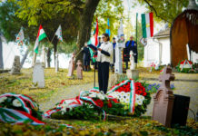 Szekeres-Joó Eszter: A város erősödik, a lehetetlenből is valóságot csinál