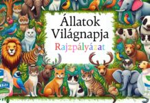 Rajzpályázat az állatok világnapja alkalmából