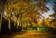 Tippek az őszi szünetre