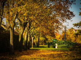 Tippek az őszi szünetre