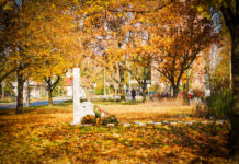 Dunakeszin járt az ősz….