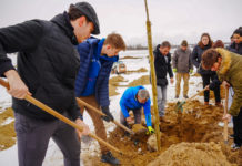 Különleges parkot alakítanak ki a diáknegyedben