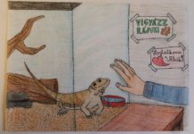Fantasztikus alkotások születtek az állatok világnapja alkalmából kiírt pályázaton