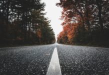 Az NTAK-ból már látszik: nőtt az utazók száma az őszi szünetben