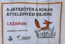 Rókák miatt kellett lezárni az egyik dunakeszi játszóteret