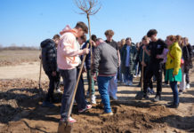 Egy újabb fával gazdagodott a dunakeszi Erasmus park