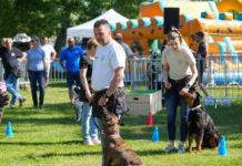 Látványos bemutatót tartott a Dogfit KSE a majálison