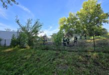 Fiatalok szórakoztak, a lángokat végül a tűzoltóknak kellett eloltaniuk