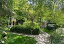 A dunakeszieket is várják a varázsló kertjébe