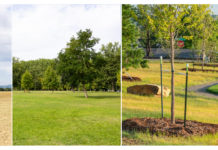 Dunakeszi Városliget tájépítész szemmel – 2. rész