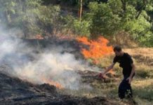 A vasút mentén gyulladt ki az aljnövényzet