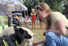 Dunakeszi kutyás piknik most szombaton a Katonadomb melletti füves területen