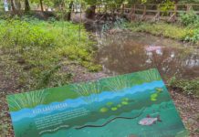 Ültetések, parkosítások városszerte