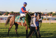 Az idei Múzeumok Őszi Fesztiválján egy alagi sétára is várják az érdeklődőket