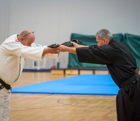 Mit jelent a Dan Kollégium, és miért fontos a harcművészeknek?