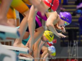 Két bajnoki összetett címet is begyűjtöttek a VSD úszói a X. BVSC Őszi Kupán