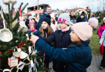 Az iskolák is feldíszítették a saját fájukat a Katonadombon