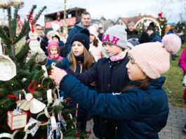 Az iskolák is feldíszítették a saját fájukat a Katonadombon