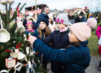 Az iskolák is feldíszítették a saját fájukat a Katonadombon