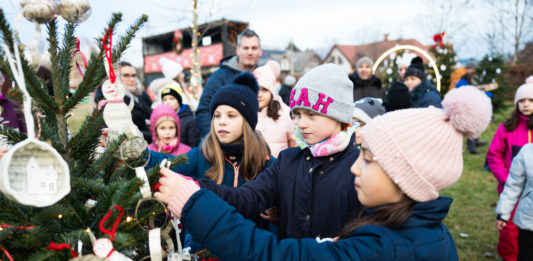 Az iskolák is feldíszítették a saját fájukat a Katonadombon
