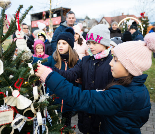 Az iskolák is feldíszítették a saját fájukat a Katonadombon