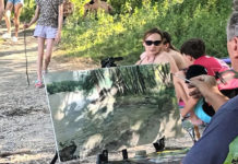 Ecsetturizmus címmel nyílik kiállítás a Kőrösiben