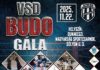 Ne hagyja ki a látványos VSD Budo Gálát!