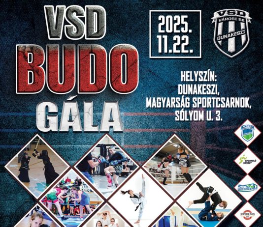 Ne hagyja ki a látványos VSD Budo Gálát!