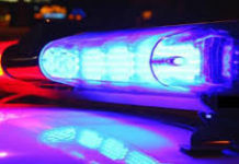 Döbbenet: Az édesanyja holttestével élt együtt napokig egy férfi Dunakeszin