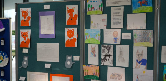 Nagy léptékű fejlesztés a sajátos nevelési igényű gyermekekért a Dunakeszi Tankerületben