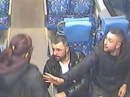 A dunakeszi vasútvonalon inzultálták az egyik utast, a másikat az ajtónak lökték