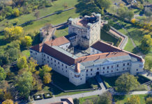 TOP 5 helyszín osztálykirándulásra – A kapibara-simogatótól a filmstúdiókig