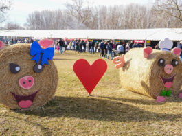 Fantasztikus időjárás, jókedv és ízek kavalkádja a IV. Dunakeszi Mindmegeszin