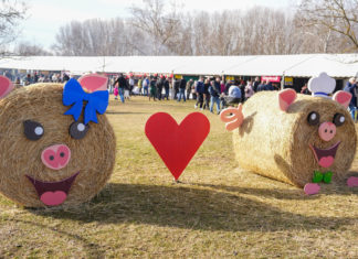 Fantasztikus időjárás, jókedv és ízek kavalkádja a IV. Dunakeszi Mindmegeszin