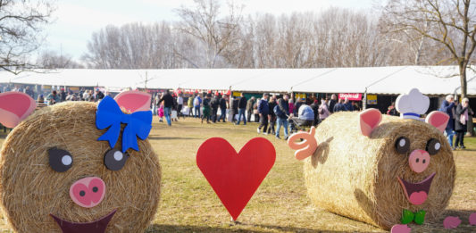 Fantasztikus időjárás, jókedv és ízek kavalkádja a IV. Dunakeszi Mindmegeszin