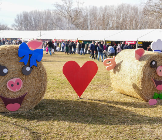 Fantasztikus időjárás, jókedv és ízek kavalkádja a IV. Dunakeszi Mindmegeszin