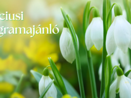 Márciusi programajánlónk