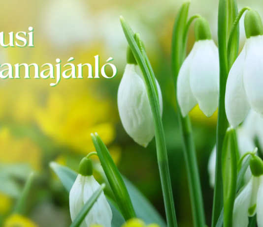 Márciusi programajánlónk