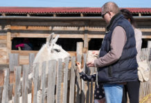 Hobbiból közönségkedvenc: újra kinyitott a Barka Állatsimogató