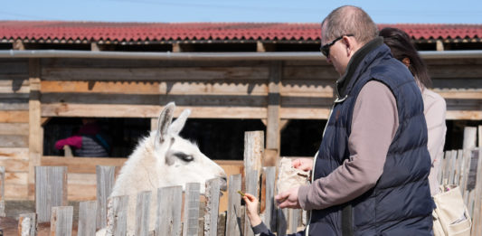 Hobbiból közönségkedvenc: újra kinyitott a Barka Állatsimogató