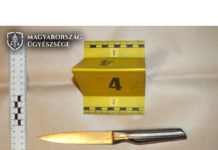 Fóti gyilkosság: milliós csalássorozat után ölte meg feleségét a férfi